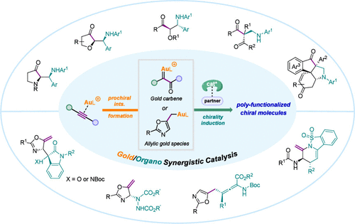 Asymmetric Alkyne Transformation via Gold/Organo Synergistic Catalysis
