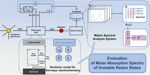 Accurate Determination of the Molar Absorption Spectra of Unstable Organic Redox-State Species in Thin-Layer Electrolysis