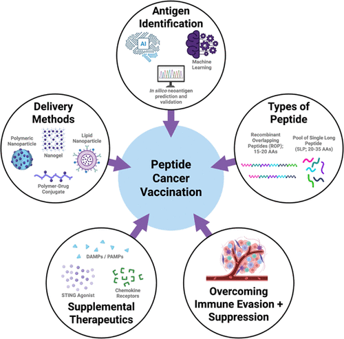 From Neoantigens to Nanocarriers: Modern Methods and Modalities in Using Peptides for Cancer Vaccination