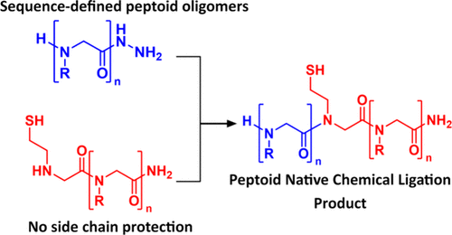 Native Chemical Ligation of Peptoid Oligomers
