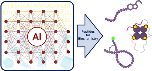 AI-Designed Peptides as Tools for Biochemistry