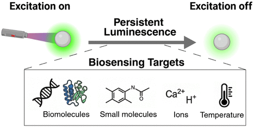 Persistent Luminescence Nanoparticle-Based Biosensors