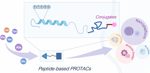 Peptide-Based PROTACs: Transitioning from Static Paradigm to a Dynamic Landscape within Targeted Protein Degradation