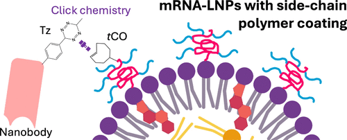 Lipid Nanoparticles with Side-Chain Polymer Coating for Targeted mRNA Delivery through Nanobody Attachment