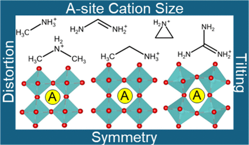 A-Site Cation Chemistry in Halide Perovskites