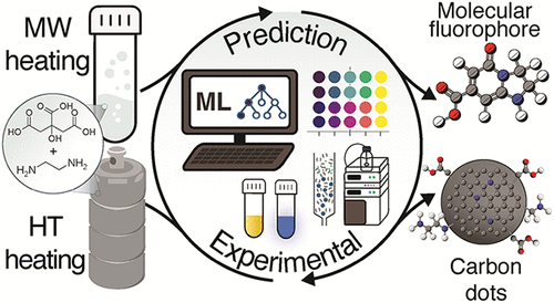 Decoding Carbon Dot Synthesis: Machine Learning-Guided Analysis of Reaction Conditions Governing Fluorophore vs Nanoparticle Formation