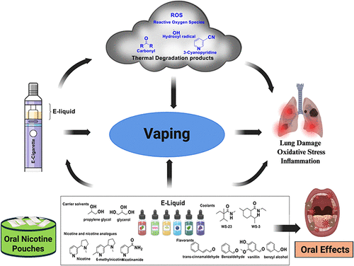 Toxicity, Chemistry, and Public Health Relevance of Emerging Nicotine Analog Vapes, Pods, and Pouches