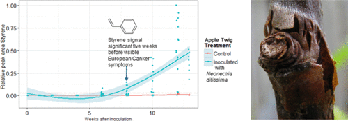 Sensing Disease in Apple Trees: Potential Signature Compounds for European Canker (Neonectria ditissima) Infection