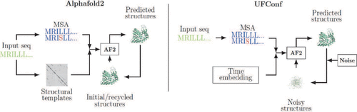 Accurate Conformation Sampling via Protein Structural Diffusion