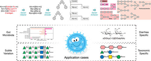 Glycan Substructure Mining Tool: An Updated and Convenient Method Focused on Gut and Pathogenic Microbiota for Glycan Research