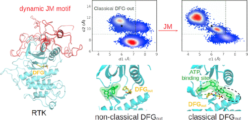 The Disordered JM Motif in RTKs Promotes Classical DFGout Conformation Formation via the Dynamic Effect