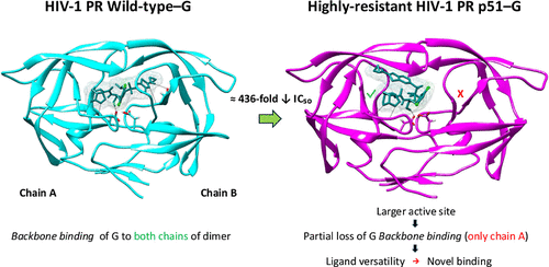 Ligand Versatility and Resistance Mechanism of Monotherapy-Grade HIV-1 Protease Inhibitor GRL-142 Binding the Multidrug Resistant Variant p51: Insights from 1 μs MD Simulations