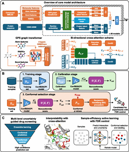Trustworthy Compound–Protein Interaction Prediction with Interpretable and Conformalized Cross-Attention Transformers