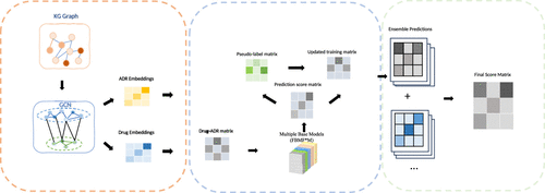 DWPL-GCNMF: Structure-Aware Dynamic Weighted Pseudo-Label Learning for Adverse Drug Reaction Prediction