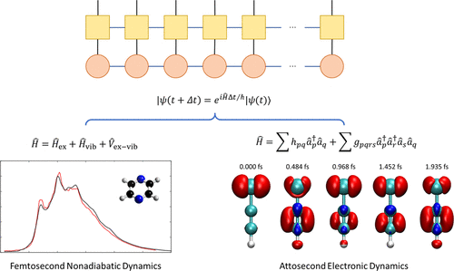 The Time-Dependent Density Matrix Renormalization Group Method for Nonadiabatic Dynamics and Electronic Dynamics