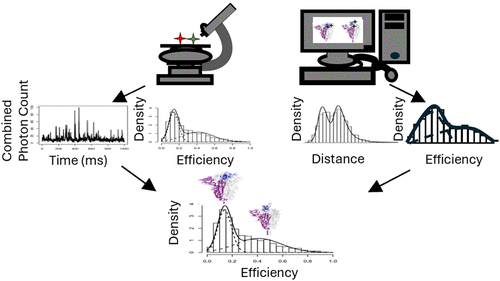 Integrating Molecular Dynamics Simulations and Single-molecule FRET Spectroscopy: From Computational FRET Estimation to Experimental Data Interpretation