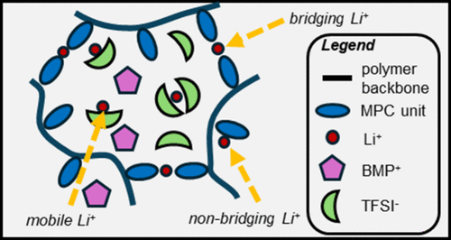 The Role of Li+ Ions in Polyzwitterionic Ionogels: Gelator or Mobile Charge Carrier?
