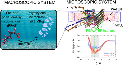 Molecular-Scale Insights into the Interactions between Perfluoroalkyl Substances and Polyethylene