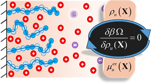 Ising Density Functional Theory for Inhomogeneous Weak Polyelectrolytes