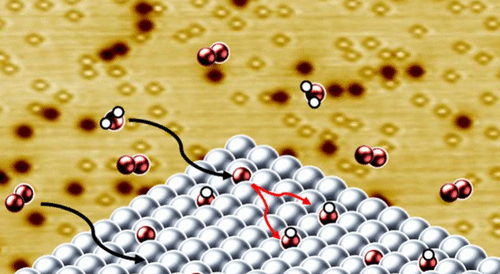 Direct Observation of Hydroxyls Formed from Water and Oxygen on Ag(100)
