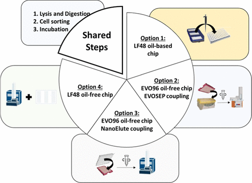 Fine-Tuning of Label-Free Single-Cell Proteomics Workflows
