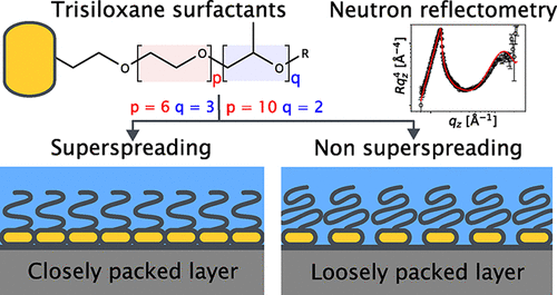 Neutron Reflectometry on Superspreading and Non-Superspreading Trisiloxane Surfactants