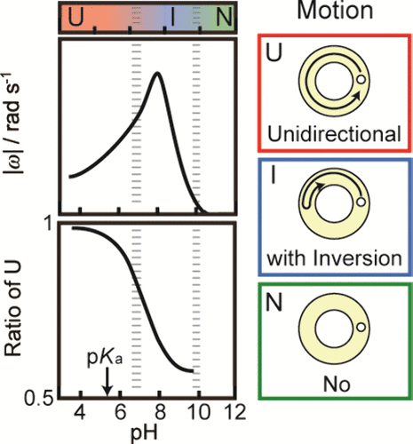 Self-Propulsion of a Soap at an Oil/Aqueous Interface Depending on pH