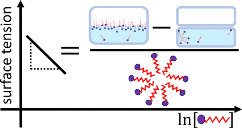 Surface Tension Isotherms: Reconceptualizing Adsorption, Self-Assembly, and Micelle Formation via the Fluctuation Theory