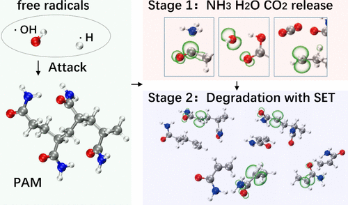 Mechanism of NH3 and CO2 Gas Release during Polyacrylamide Degradation