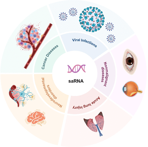 Small Activating RNAs: Delivery and Therapeutic Applications in Disease Treatment