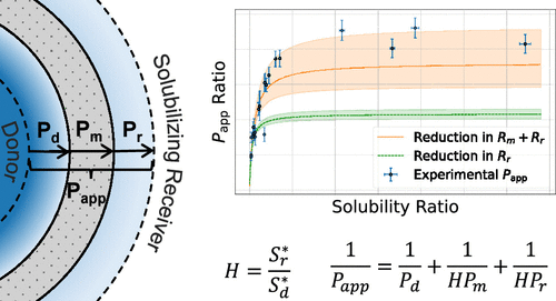Reduced-Resistances Model for Enhanced Drug Permeation via a Solubilizing Receiver Medium: A Mechanistic Study with Hollow Fiber Membranes
