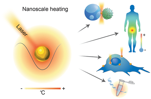 Biological Applications of Thermoplasmonics