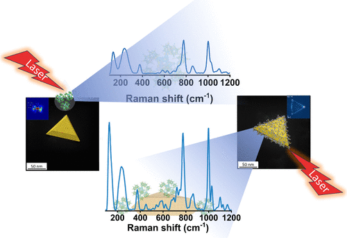 Atomically Precise Nanoclusters as SERS Probes