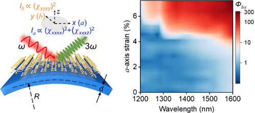 Efficient Third-Harmonic Generation and the Strain Engineering Control of Polarization Anisotropy in TiS3