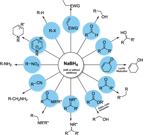 Reductive Transformations with Sodium Borohydride and Their Applications