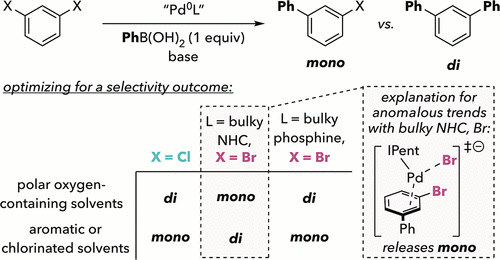 Selectivity for Exhaustive Cross-Coupling of Dihaloarenes Is Affected by the Interplay between the Halide Byproduct, Solvent, and Ligand
