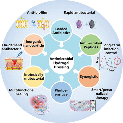 Recent Developments in Antimicrobial Hydrogel for Wound Healing