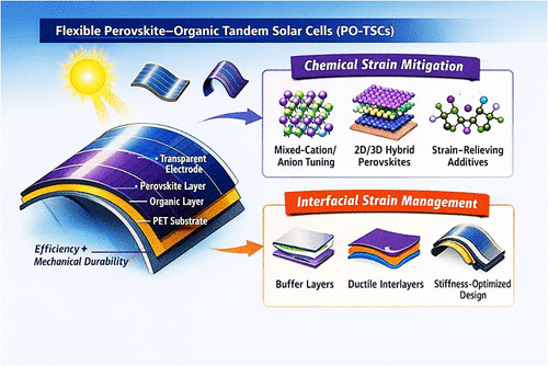 Bioinspired Strain-Engineered Perovskite–Organic Tandem Solar Cells: Advances in Organic Semiconductors for Wearable Photovoltaics