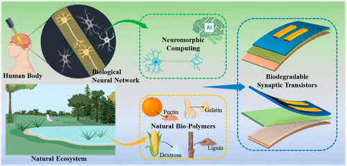 Unconventional Materials-Based Flexible Synaptic Transistors for Sustainable Neuromorphic Systems: Advancements, Challenges, and Future Trends