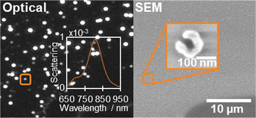 Plasmonic Properties of Self-Assembled Gold Nanocrescents: Implications for Chemical Sensing