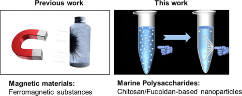 Magnet-Like Motion of Marine Polysaccharides by Remote Control of Chitosan/Fucoidan Nanoparticles for Targeted Movements and Manipulation