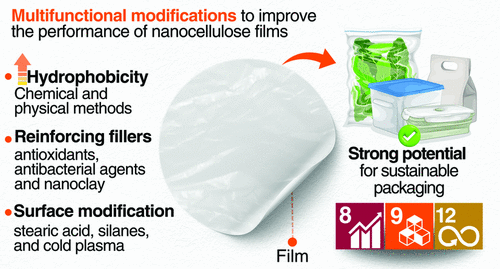 Enhancing Barrier and Antioxidant Properties of Nanocellulose Films for Coatings and Active Packaging: A Review