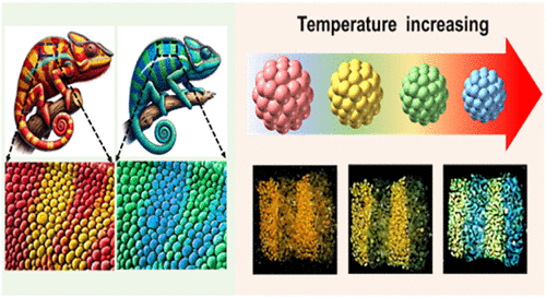Artificial Iridophores to Mimic the Color Change of Chameleon Skin