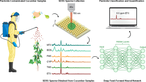 Hexagonal Au Nanostructure SERS Metasurface for AI-Driven Detection of Pesticide Residues in Real Food Samples