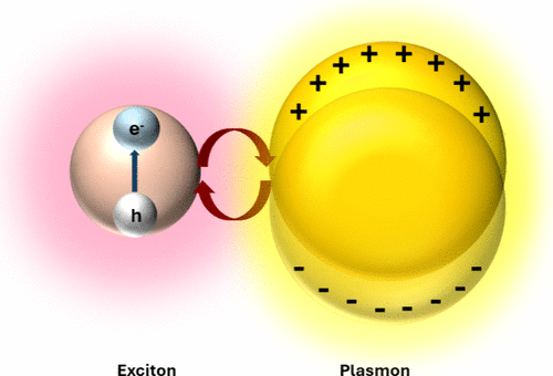 Excitons and Plasmons at the Nanoscale: From Fundamental Physics to Functional Nanophotonics