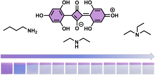 Investigating Squaraine Dye Decolorization as a Method for Gaseous Amine Indication