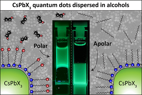 Polar Opposites: Ligand-Mediated Polarity Inversion for Perovskite Quantum Dots with Sub-Nanometer Ligand Shells