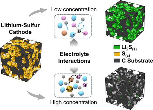 Role of the Electrolyte Concentration in Polysulfide Shuttle and Electrochemical Performance of Lithium–Sulfur Batteries