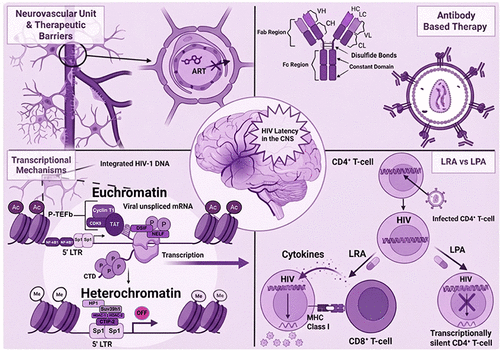 Latent HIV Reservoirs in the Central Nervous System: Mechanisms, Barriers, and Therapeutic Approaches