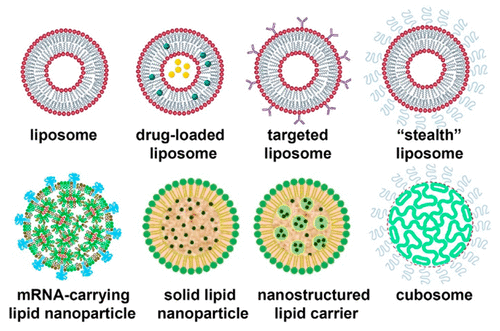 Lipid Nanoparticles─From Liposomes to mRNA Vaccine Delivery, a Landscape of Research Diversity and Advancement